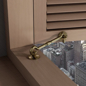 Window accessories ( hook )