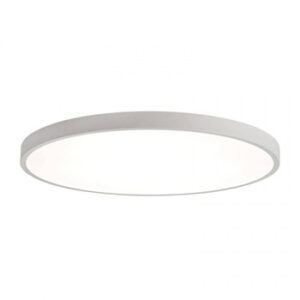 Ceiling (surface) light installation