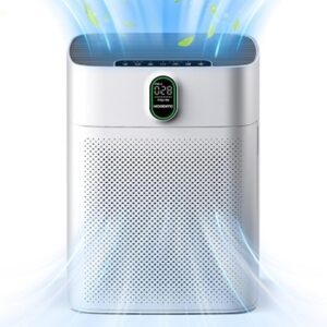 Air purifier check up
