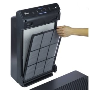 Air purifier filter cleaning